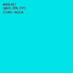 #00E4E7 - Cyan / Aqua Color Image